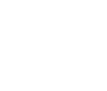 Prime Resources logo